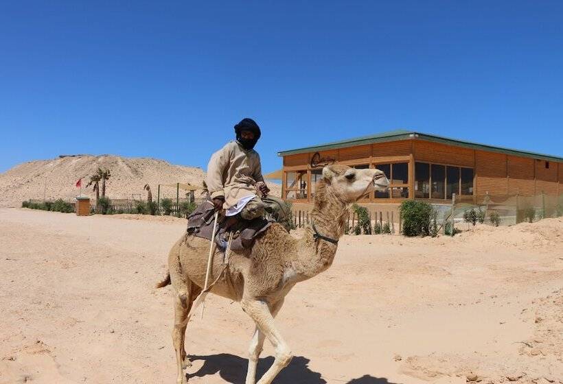فندق Dakhla Camp
