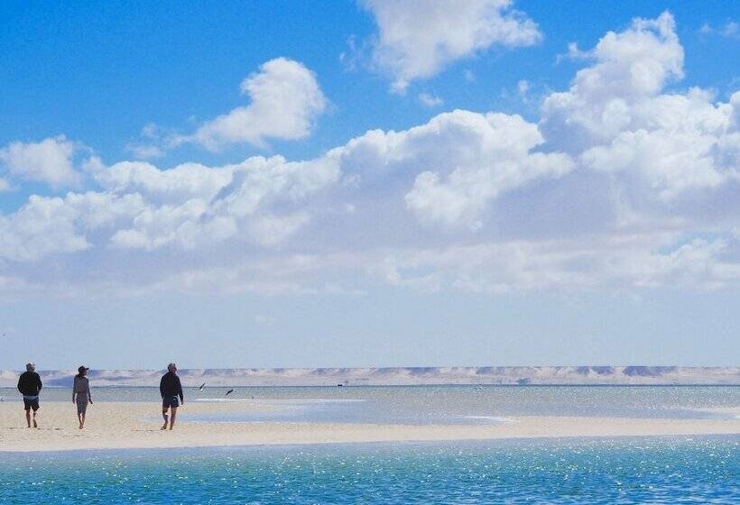 فندق Dakhla Camp