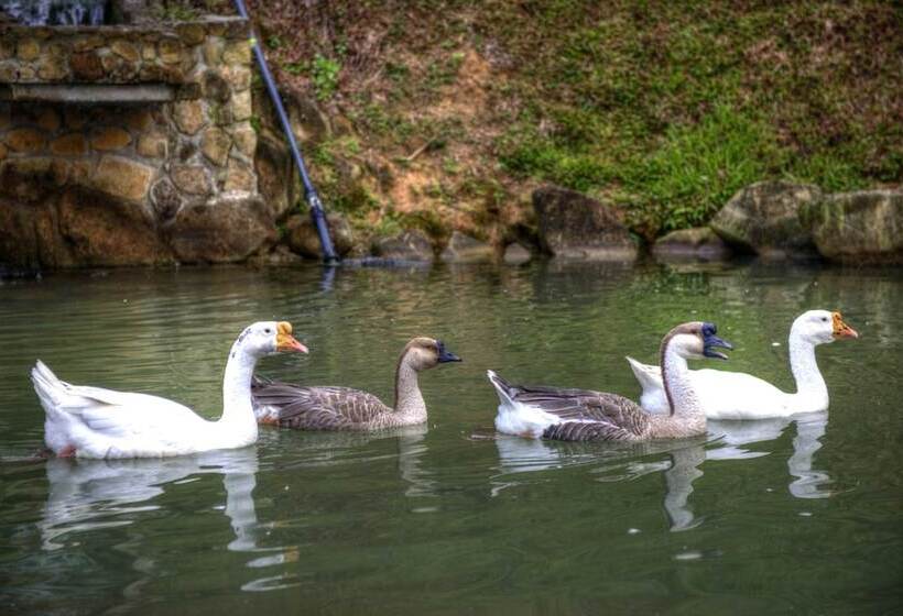 فندق D'villa At Janda Baik