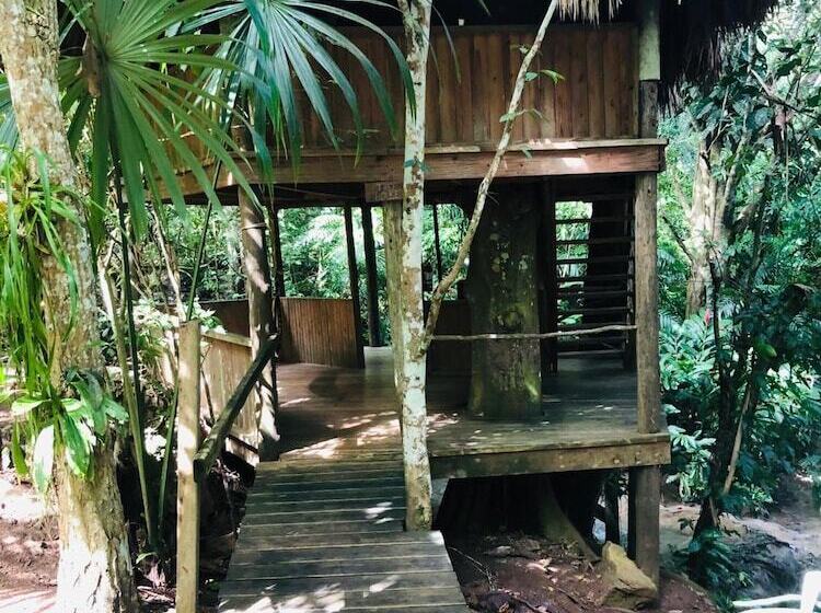 ホテル Martz Farm Treehouses & Cabanas