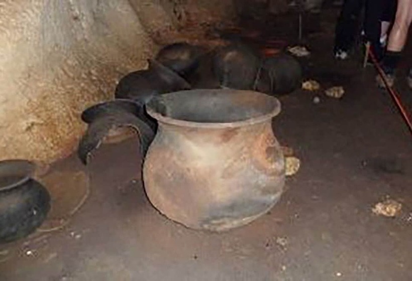 ホテル Martz Farm Treehouses & Cabanas