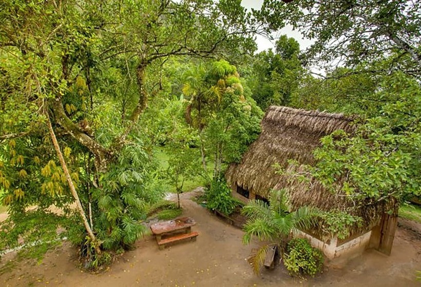 ホテル Martz Farm Treehouses & Cabanas