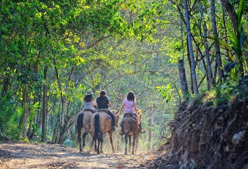 ホテル Martz Farm Treehouses & Cabanas