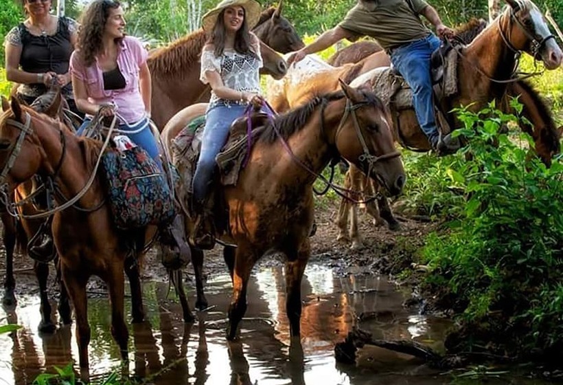 בית מלון כפרי Martz Farm Treehouses & Cabanas
