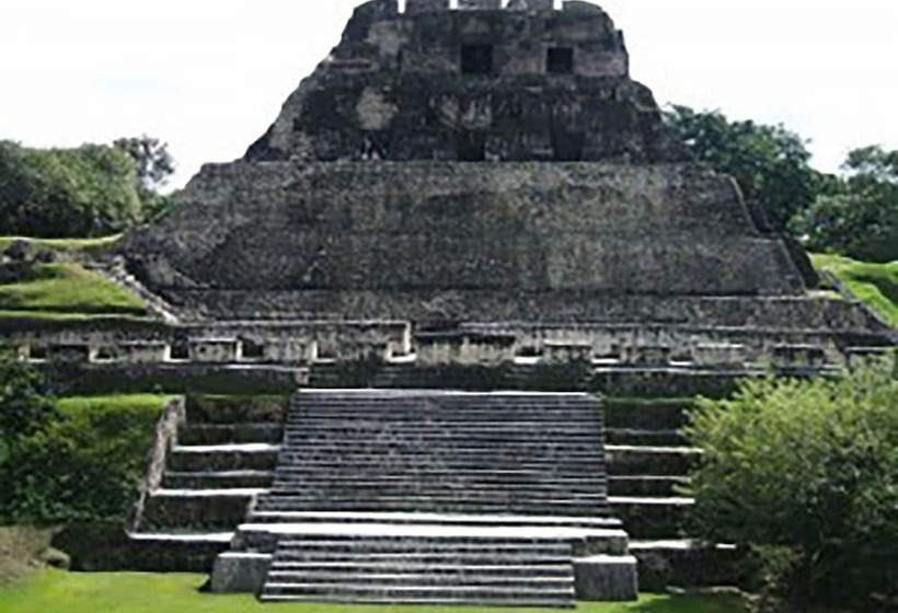 ホテル Martz Farm Treehouses & Cabanas