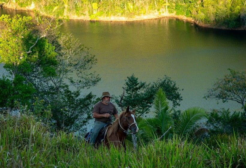 ホテル Martz Farm Treehouses & Cabanas