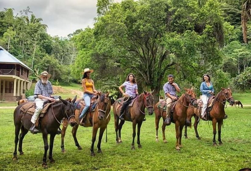 ホテル Martz Farm Treehouses & Cabanas