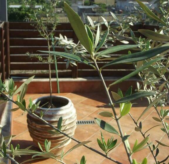 בית מלון כפרי Metropole