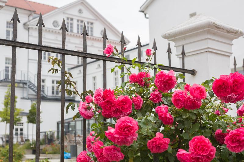 Parkhotel Putbus Superior International