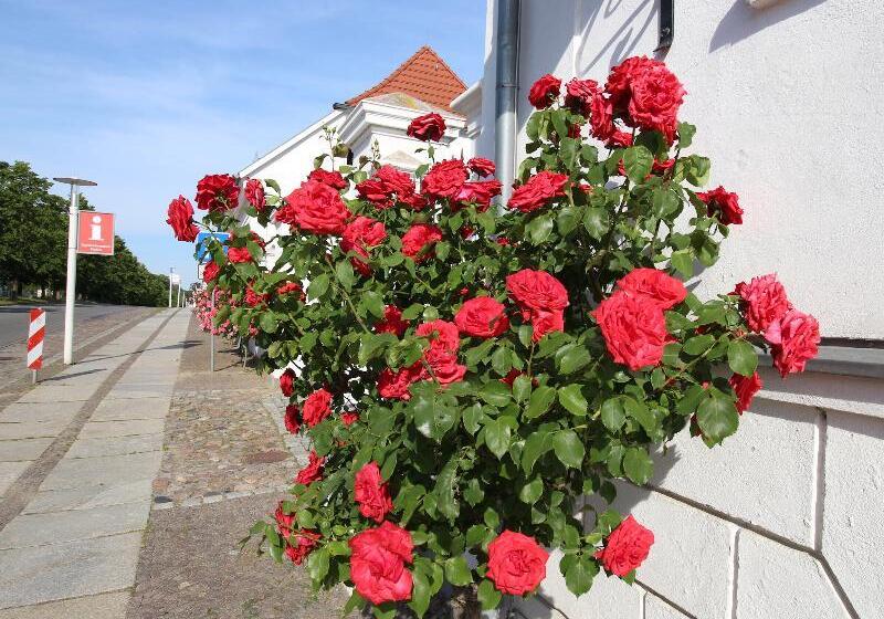 Parkhotel Putbus Superior International