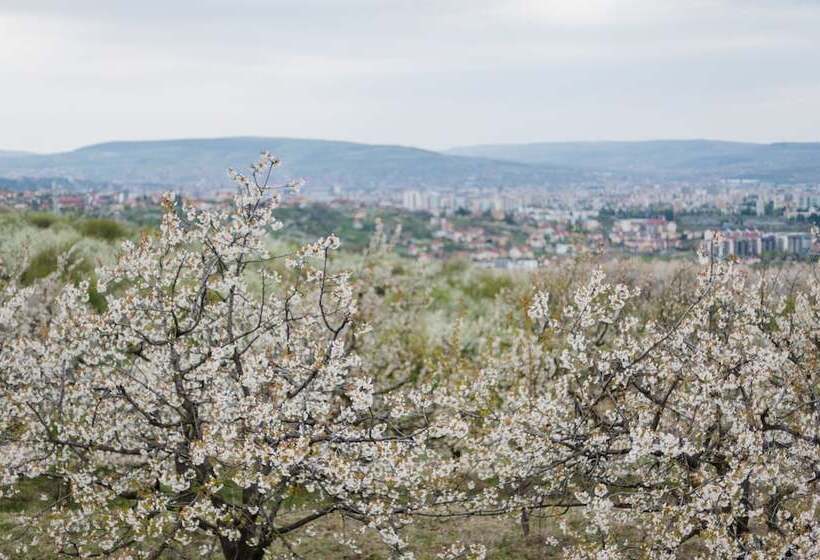 酒店 Rodizio Hill Resort