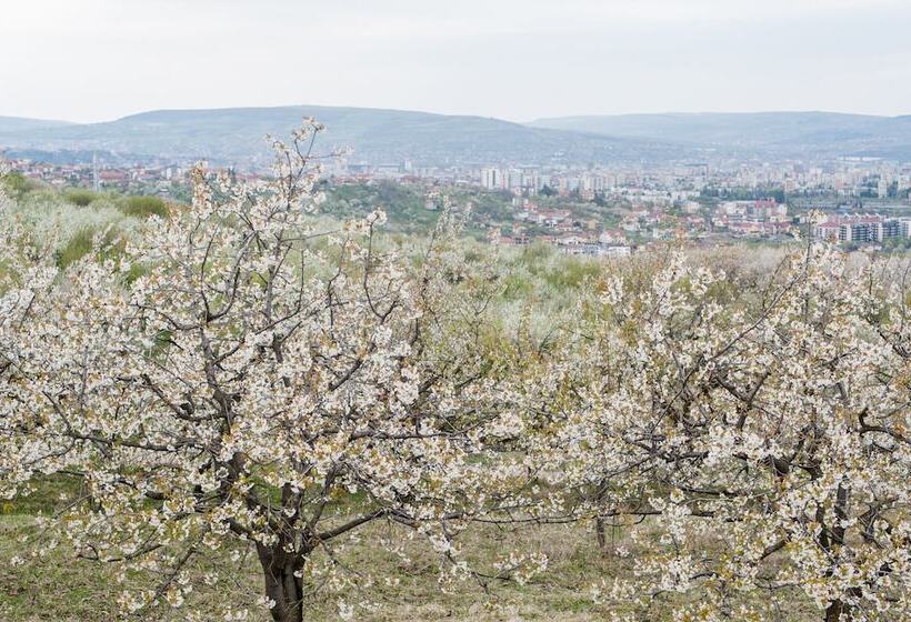 酒店 Rodizio Hill Resort