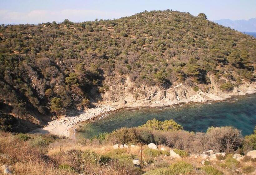 בית מלון כפרי Vergina Pension