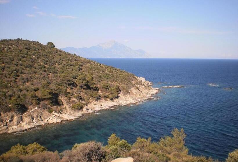 فندق Vergina Pension