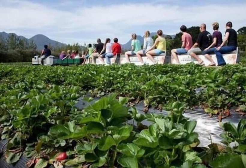 بنسيون African Sun Guest House