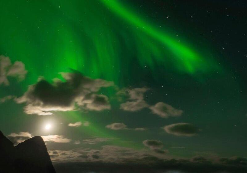 膳宿费 Brygga Restaurant & Room