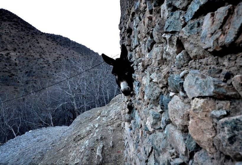 ペンション Dar Bounasser