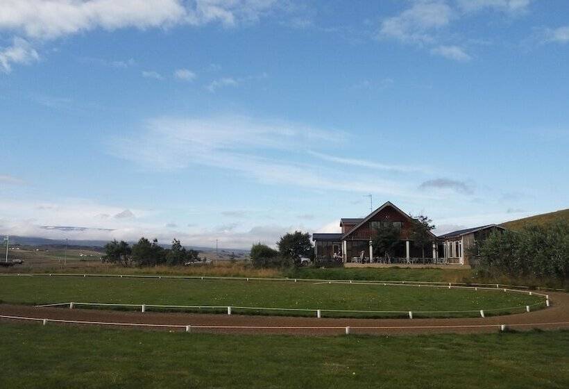 پانسیون Dæli Guesthouse