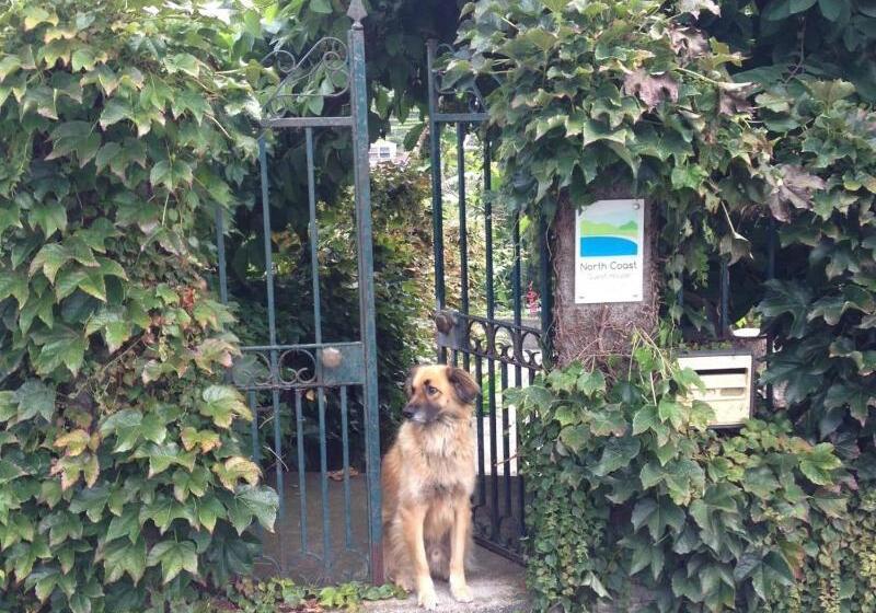 بنسيون Madeira Surf Lodge
