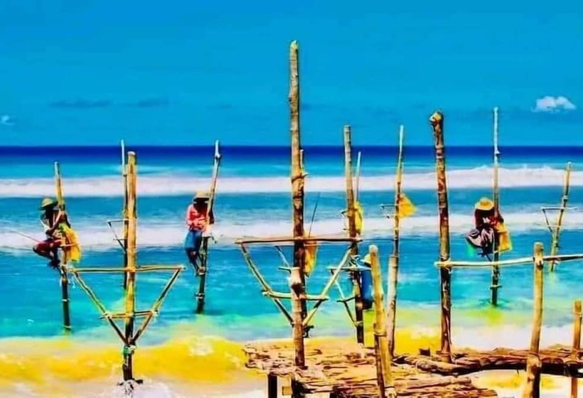 ペンション Shasee Rest  Mirissa Sri Lanaka