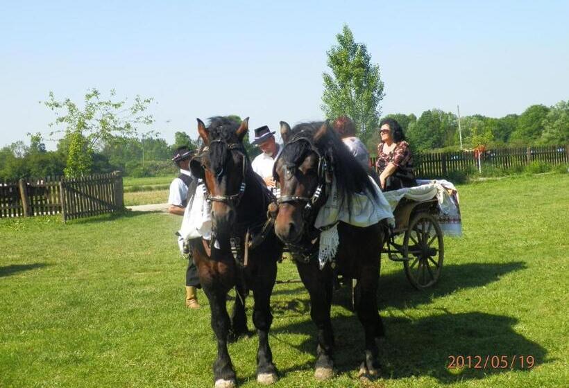 펜션 Tradicije Cigoc