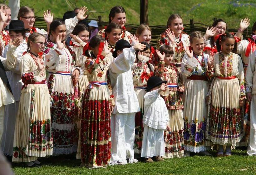 펜션 Tradicije Cigoc