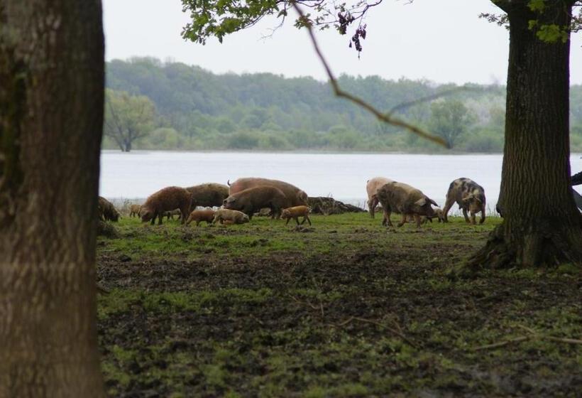 펜션 Tradicije Cigoc