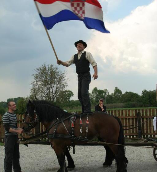 펜션 Tradicije Cigoc