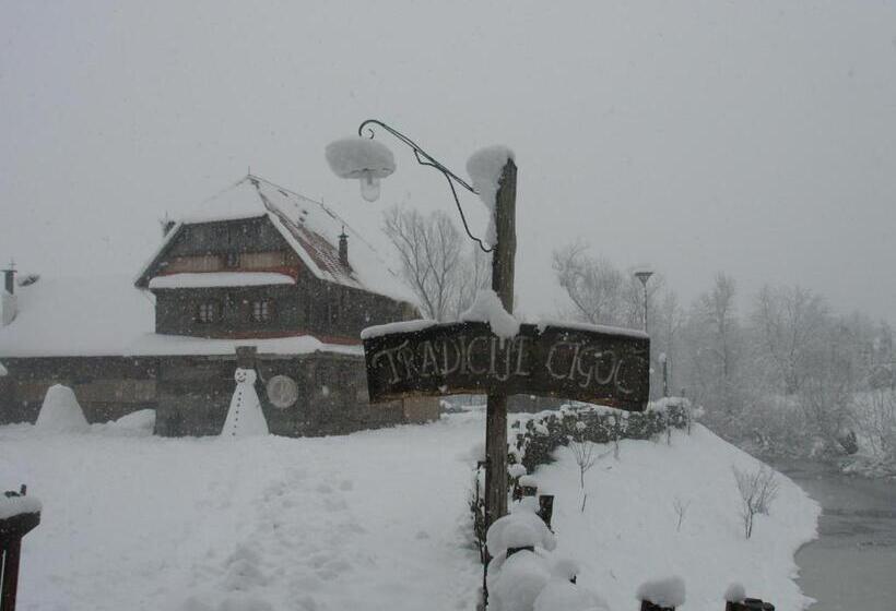 펜션 Tradicije Cigoc