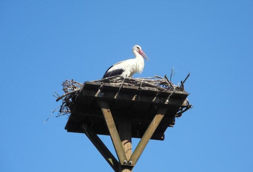 펜션 Tradicije Cigoc