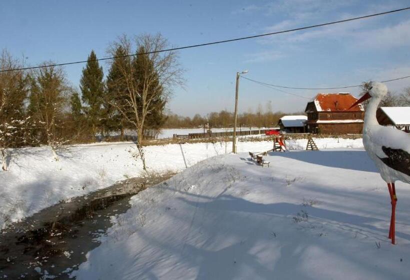 펜션 Tradicije Cigoc