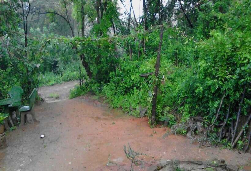 Резиденция Sisira Homestay Sigiriya