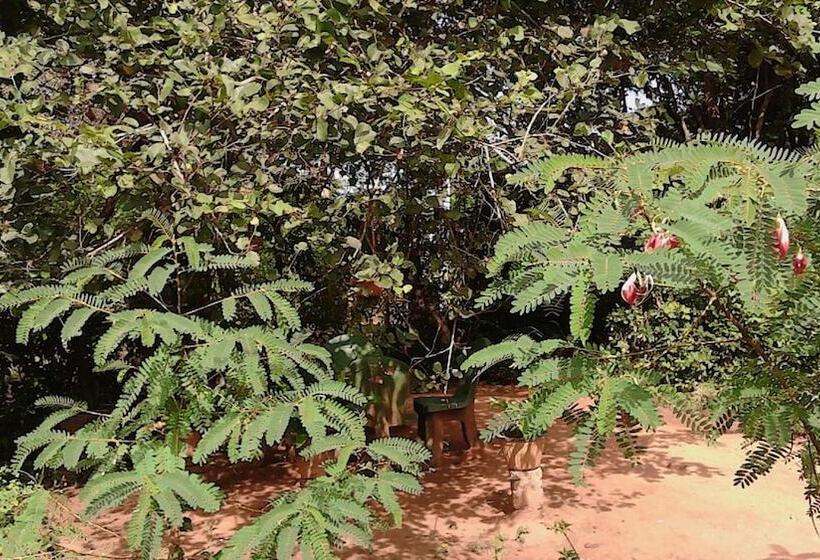 Резиденция Sisira Homestay Sigiriya