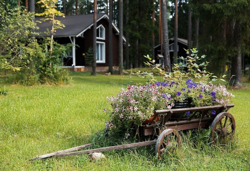 منتجع Tsarstvo Korolevstvo