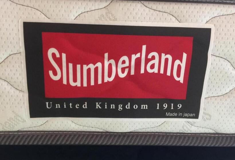 ريوكان Kinosaki Onsen Hanakouji Saigetsu