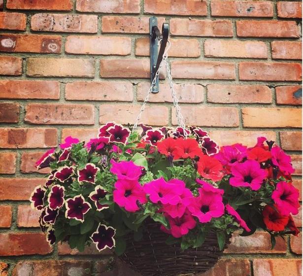 Tara View Apartments