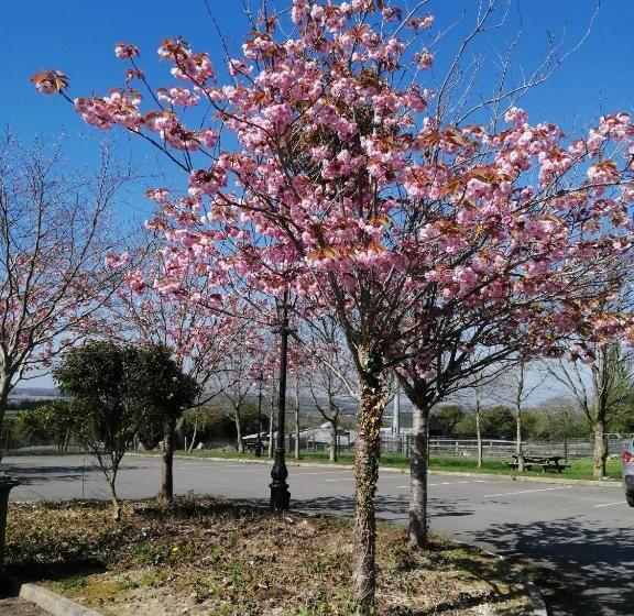 Tara View Apartments