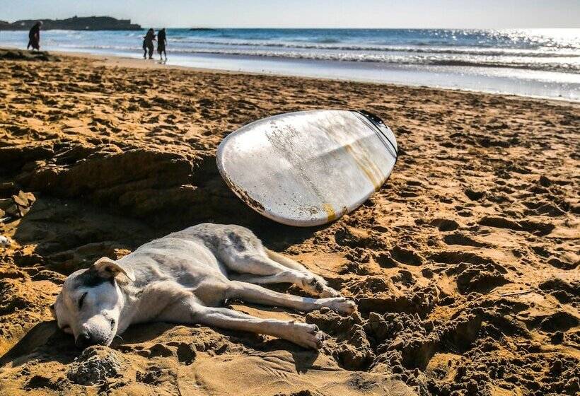 هاستل Sunset Surfhouse Morocco