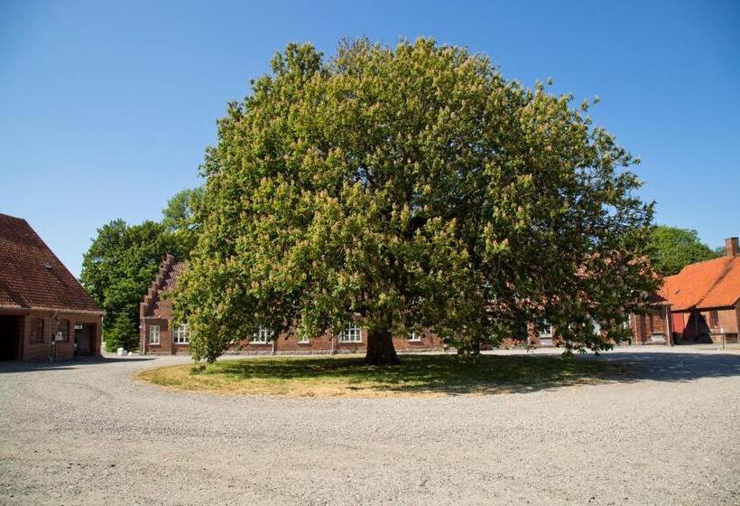 Bed and Breakfast Bellinge House