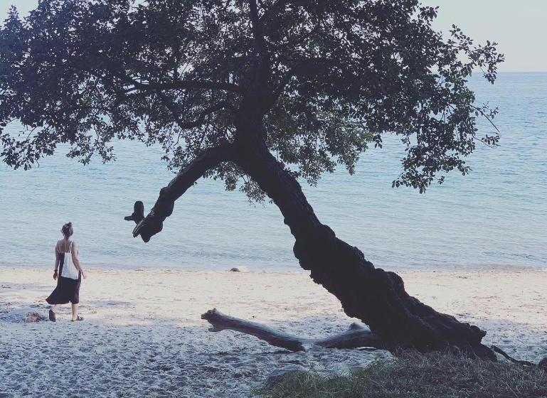 Bed and Breakfast Bellinge House