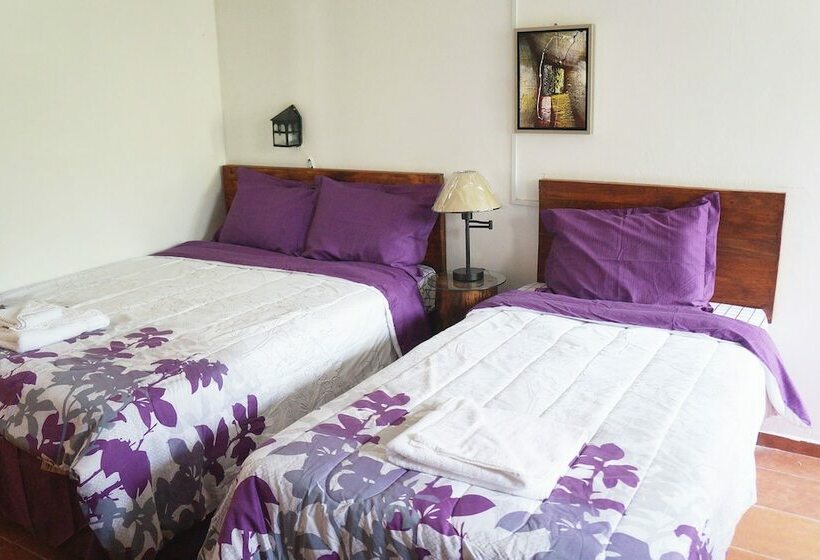 تختخواب و صبحانه Eco Hotel Shangrila