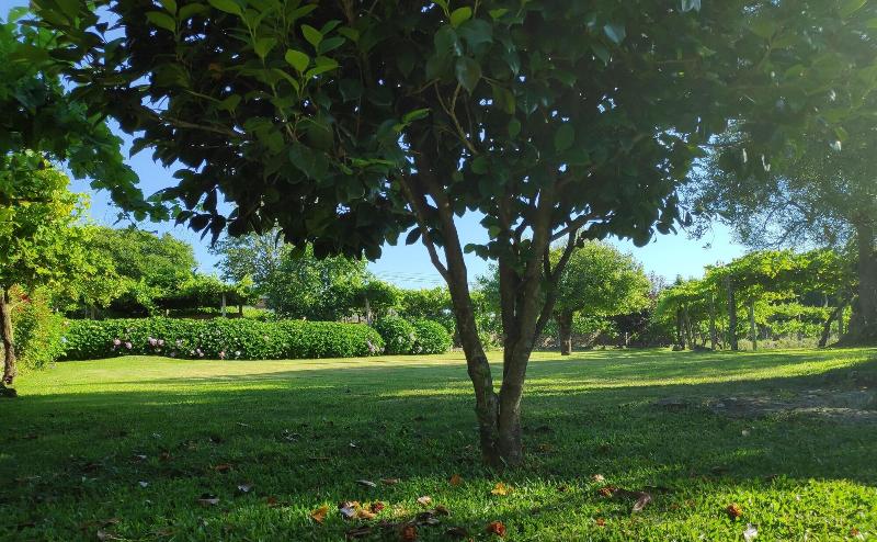 Casas Da Quinta Da Cancela