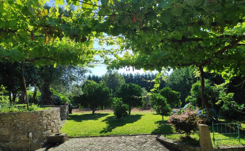 Casas Da Quinta Da Cancela