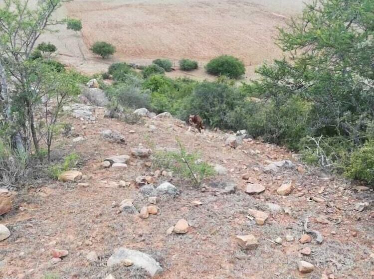 Farm Stays, Here You Will Be Able To Relax And Enjoy The Beauty Of Nature