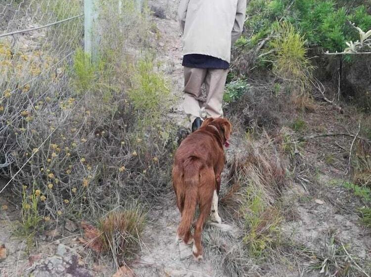 Farm Stays, Here You Will Be Able To Relax And Enjoy The Beauty Of Nature