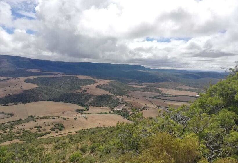 Farm Stays, Here You Will Be Able To Relax And Enjoy The Beauty Of Nature