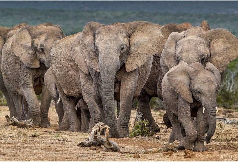 Farm Stays, Here You Will Be Able To Relax And Enjoy The Beauty Of Nature