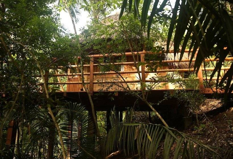 호텔 Aldea Bamboo Village   Glamping