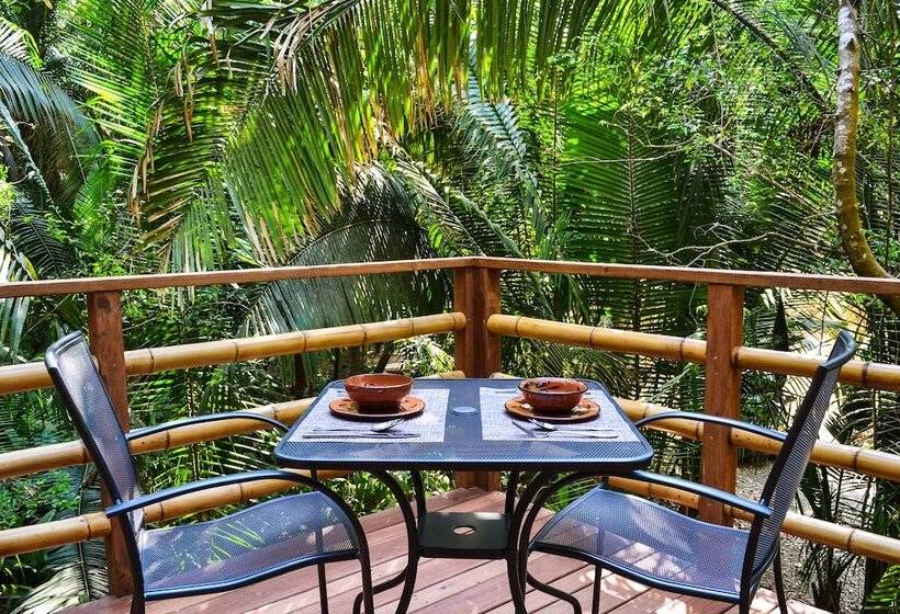 호텔 Aldea Bamboo Village   Glamping