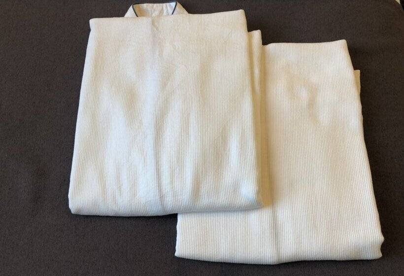 ホテル Almont Inn Shonanfujisawa